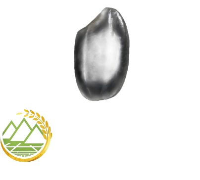 出羽の里