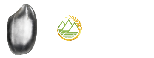 出羽の里