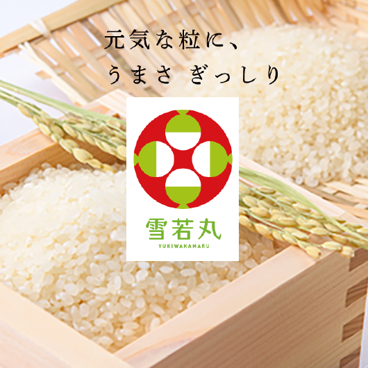 雪若丸