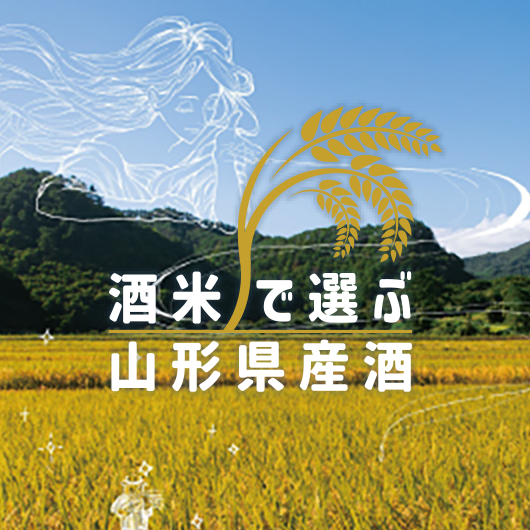 酒米